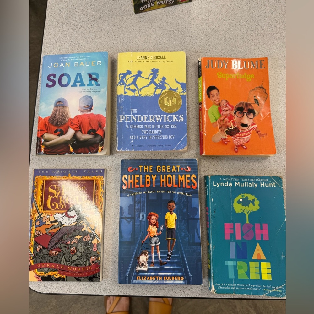 Six chapter books